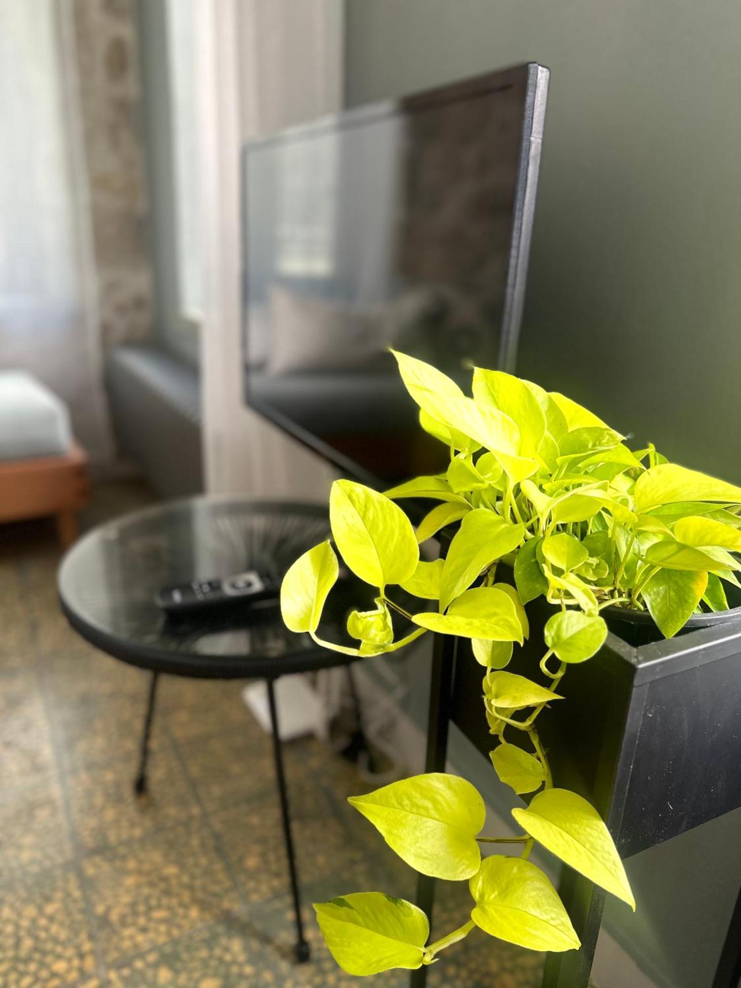 Stone Guest House In The City Heraklion  Luaran gambar